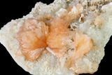 Peach Stilbite Crystals on Sparkling Quartz Chalcedony - India #168754-2